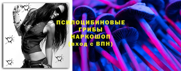 не бодяженный Арсеньев