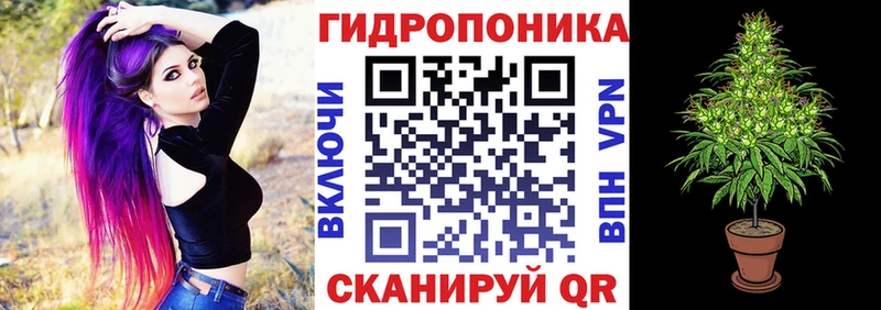 Бошки Шишки SATIVA & INDICA мега ССЫЛКА Сычёвка